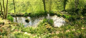 landhaus-sonnenberg-teich.jpg
